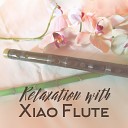 Meditation Music Zone - Relaxation with Xiao Flute