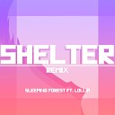 Sleeping Forest - Shelter Remix