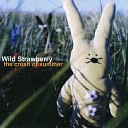Wild Strawberry - People Feel Better In The Sun