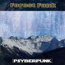 Hyper Frequencies Psyberpunk - Rajastan