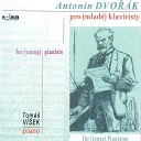 Healing Classic - Dvorak: Polka In E Major