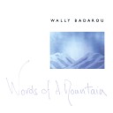 Wally Badarou - The Dachstein Angels