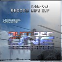 Robbie Seed - Second Life Original Mix