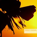 Tarmo Tammel - Dissoluted Original Mix