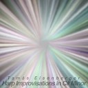 Tamás Eisenberger - Harp Improvisations in C# Minor - Improvisation 22