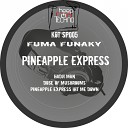 Fuma Funaky - Dose of Mushrooms Original Mix