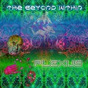PLEXUS - Mystical Experience Original Mix