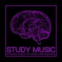 RelaxingRecords Study Music Zone Concentration Music… - Alpha Waves for Studying