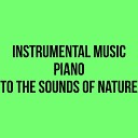 Studio ChillZen Piano - Forgive me to the Sounds of Nature