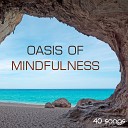 Oasis of Meditation - New Age Discovery Background Music for Exotic…