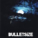 Bulletsize - Aim for the Sun