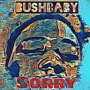 Bushbaby - Sorry