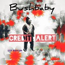 Bushbaby - Credit Alert