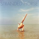 Stranded Horse - Shields