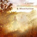 Celtic Chillout Relaxation Academy - Way to Happiness