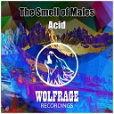 The Smell of Males - Acid Original Mix