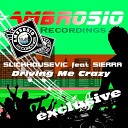 Slickhousevic feat Sierra - Driving Me Crazy Original Mix