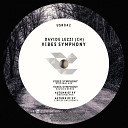 Davide Lezzi Ch - Vibes Symphony Hausick Remix