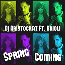 Dj Aristocrat feat Brioli - Spring Coming Touch The Sound Remix