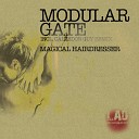 Modular Gate - Magical Hairdresser Calzedon Guy s Xerotonine…