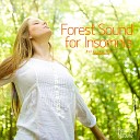 Nature Sound Band - Verdant Forest ASMR Sleep Music Meditation…
