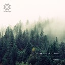 Terratec - In The Fog Of Karelia Original Mix