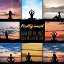 Relaxation Meditation Songs Divine - All Day Spa