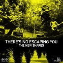 The New Shapes - I Can Prove It