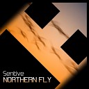 Sentive - Northern Fly Submod Remix