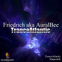 Friedrich AuralBee - Shapeshift Original Mix