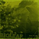 Big Leaf feat C Boogie Buddha Stretch - Kick It Original Mix