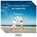 Pump Gorilla Voltech - By Your Side Original Mix