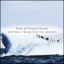 Music Therapy Slow Life Laboratory - Probability Healing Original Mix