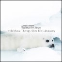 Music Therapy Slow Life Laboratory - Kiriko Positive Thinking Original Mix