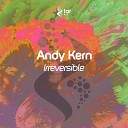 Andy Kern - Irreversible Original Mix