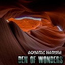Aquatic Nature feat Milews - Den of Wonders Organic Uptempo Mix