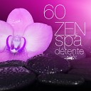 Spa Music Collective - M ditation relaxante