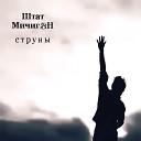 Штат МичигаН - Струны