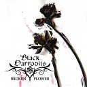 Black Daffodils - Just a Memory