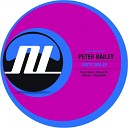Peter Bailey - Stupid Steve Original Mix