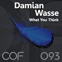 Damian Wasse - What You Think Original Mix