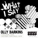 Olly Barkins - What I Say Original Mix