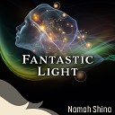 Namah Shina - Fantastic Light