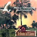 Joseito Romero y Su Arpa Maravillosa - El Burro De Don Juan