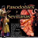 Orquesta Taurina de Pasodobles Coro Rociero de Sevillanas y… - Cielo Andaluz