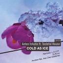 Anton Ishutin feat Tasteful House - Cold As Ice Andrew Rai Alex Dee Gladenko…