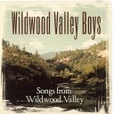 Wildwood Valley Boys - Talkin In My Sleep