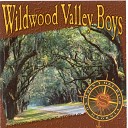 Wildwood Valley Boys - The Rose Will Bloom Again