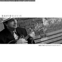 David Davis The Warrior River Boys - Coat Of Southern Gray