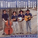 Wildwood Valley Boys - My World s A Paradise